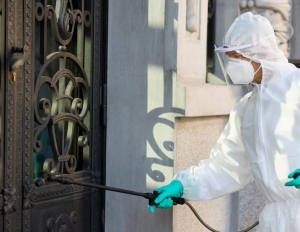Pest Control Dublin: Safeguarding Your Property From Infestations